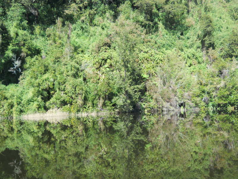 Foto: Puerto Varas - Puerto Varas (Los Lagos), Chile