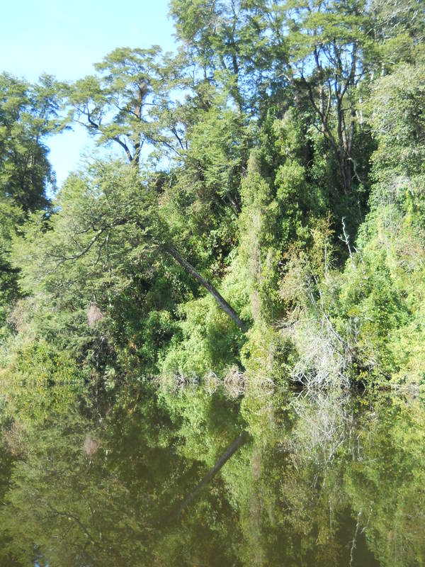 Foto: Puerto Varas - Puerto Varas (Los Lagos), Chile