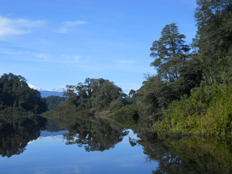 Foto: Puerto Varas - Puerto Varas (Los Lagos), Chile