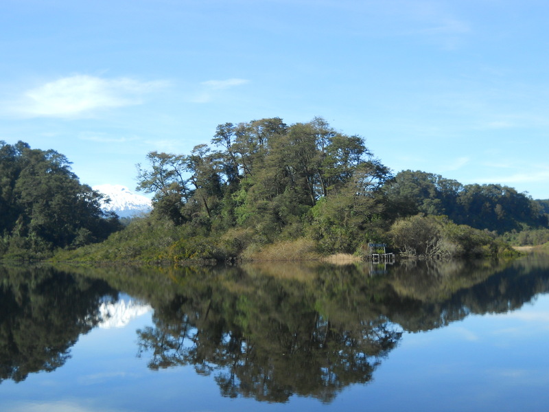 Foto: Puerto Varas - Puerto Varas (Los Lagos), Chile