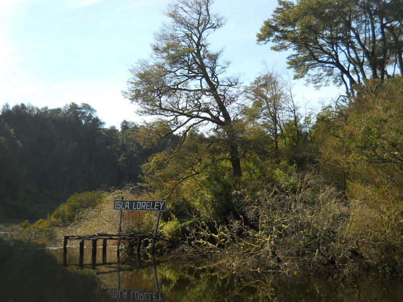 Foto: Puerto Varas - Puerto Varas (Los Lagos), Chile