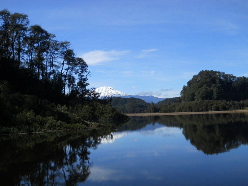 Foto: Puerto Varas - Puerto Varas (Los Lagos), Chile