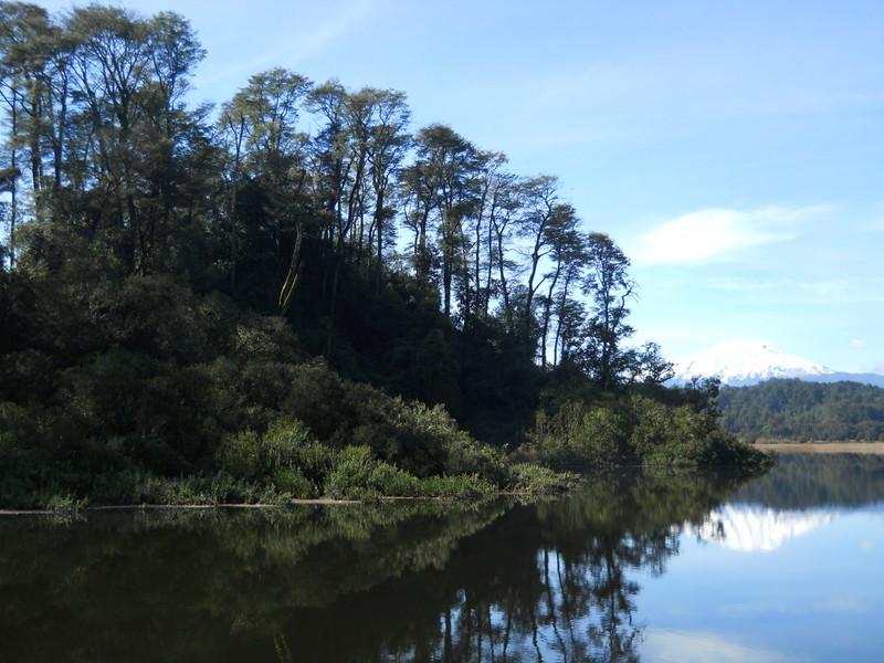 Foto: Puerto Varas - Puerto Varas (Los Lagos), Chile