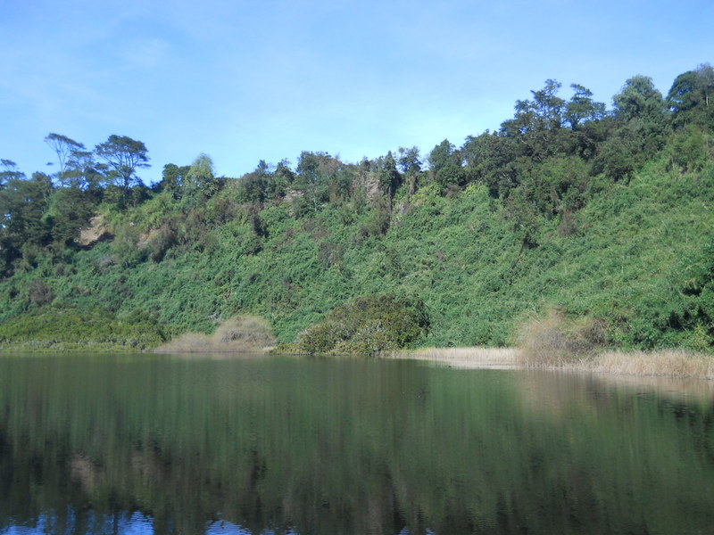 Foto: Puerto Varas - Puerto Varas (Los Lagos), Chile