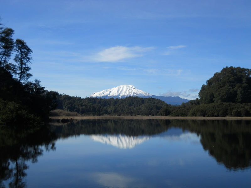 Foto: Puerto Varas - Puerto Varas (Los Lagos), Chile