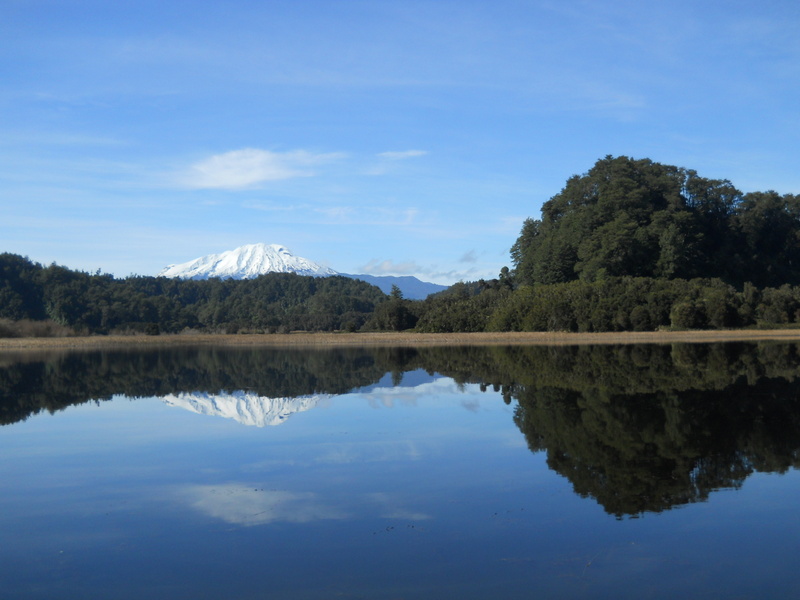 Foto: Puerto Varas - Puerto Varas (Los Lagos), Chile