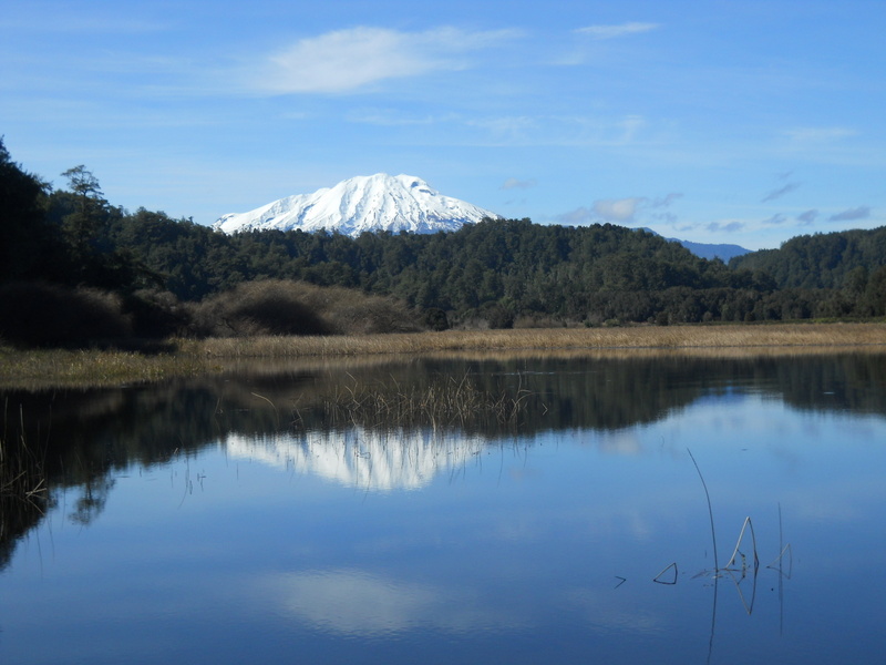 Foto: Puerto Varas - Puerto Varas (Los Lagos), Chile