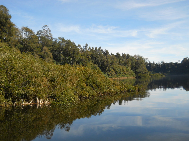 Foto: Puerto Varas - Puerto Varas (Los Lagos), Chile