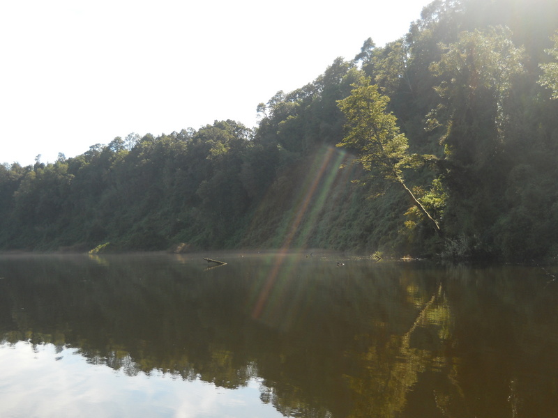 Foto: Puerto Varas - Puerto Varas (Los Lagos), Chile