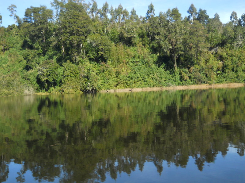 Foto: Puerto Varas - Puerto Varas (Los Lagos), Chile