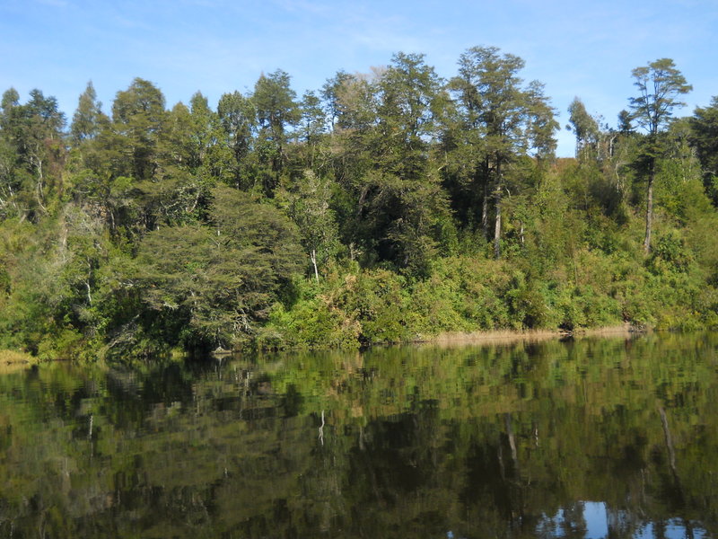 Foto: Puerto Varas - Puerto Varas (Los Lagos), Chile