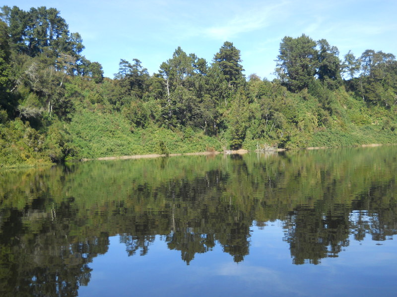 Foto: Puerto Varas - Puerto Varas (Los Lagos), Chile