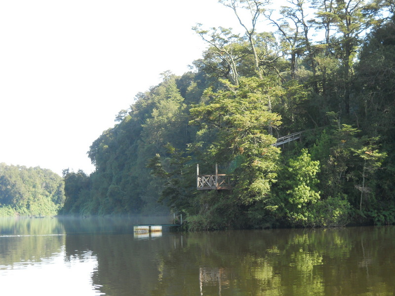 Foto: Puerto Varas - Puerto Varas (Los Lagos), Chile