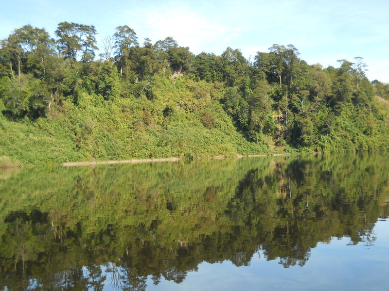 Foto: Puerto Varas - Puerto Varas (Los Lagos), Chile