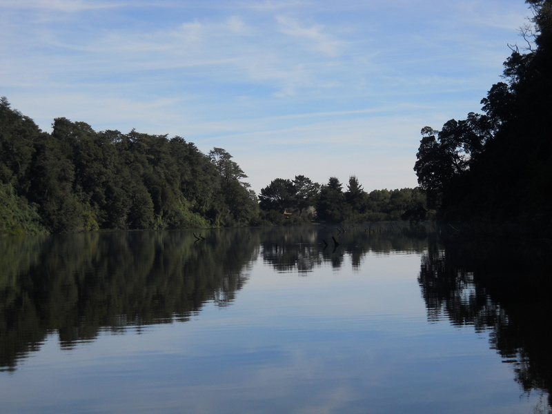 Foto: Puerto Varas - Puerto Varas (Los Lagos), Chile