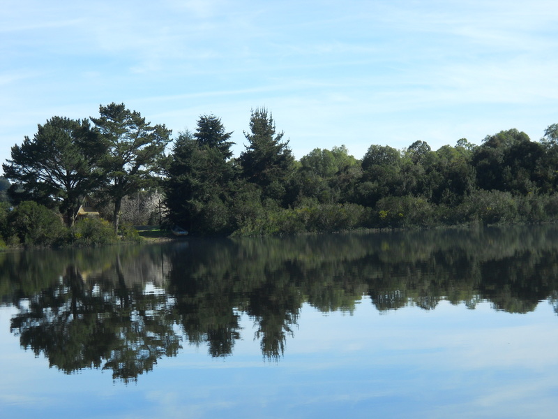 Foto: Puerto Varas - Puerto Varas (Los Lagos), Chile