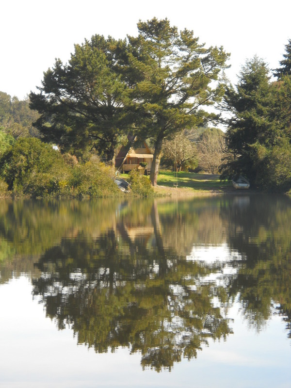 Foto: Puerto Varas - Puerto Varas (Los Lagos), Chile