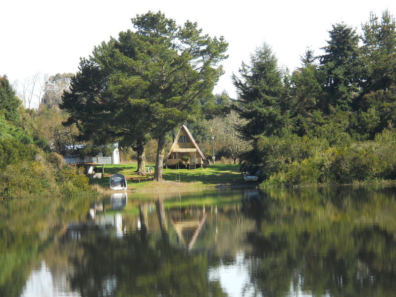 Foto: Puerto Varas - Puerto Varas (Los Lagos), Chile