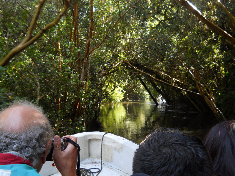 Foto: Puerto Varas - Puerto Varas (Los Lagos), Chile