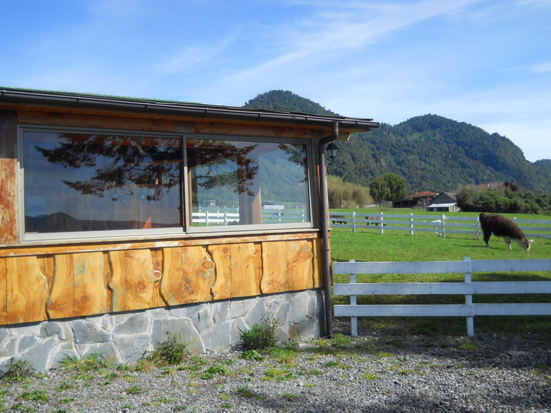 Foto: Puerto Varas - Puerto Varas (Los Lagos), Chile