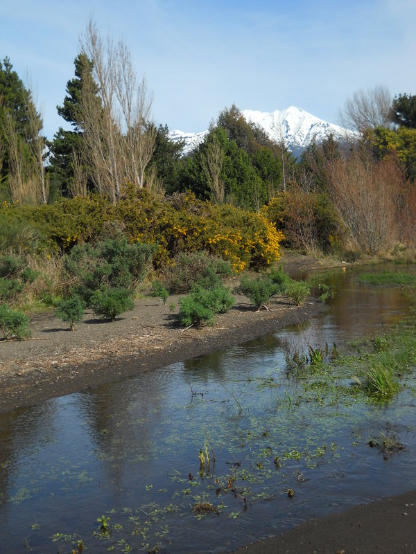 Foto: Puerto Varas - Puerto Varas (Los Lagos), Chile