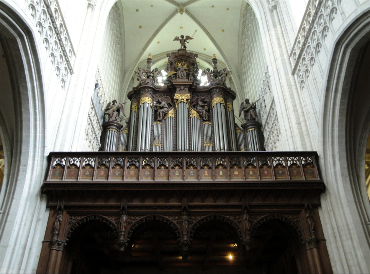 Foto: Caja de órganos Schyven. Onze Lieve Vrouwekathedraal - Antwerpen (Flanders), Bélgica