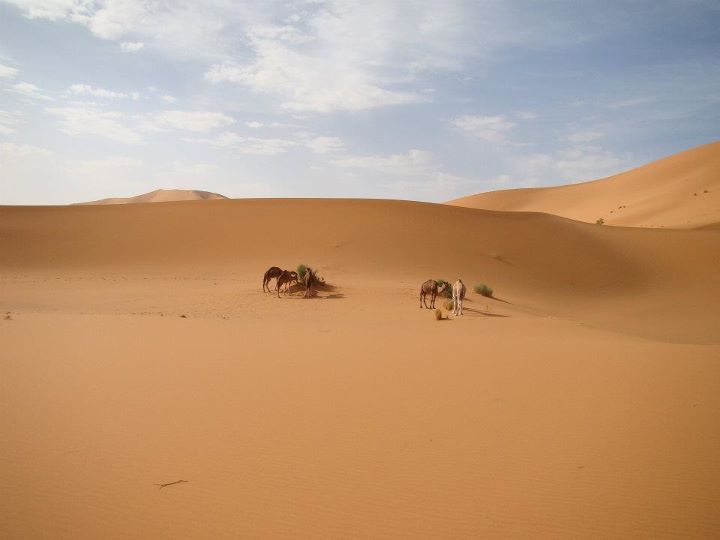 Foto: Dunas - Merzouga, Marruecos