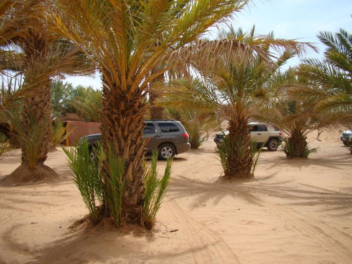 Foto: Oasis mamadu - Merzouga, Marruecos