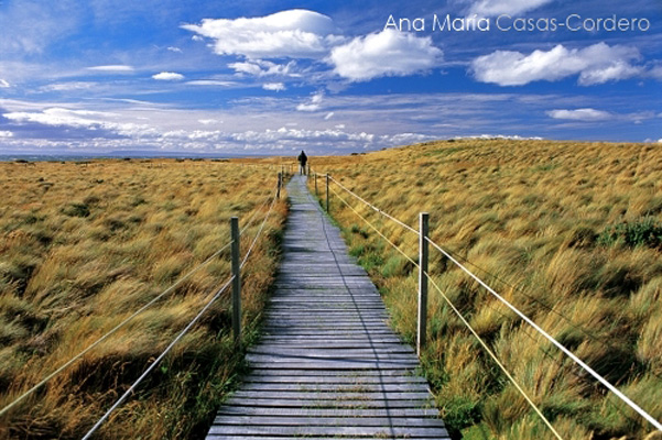 Foto: Ana Maria Casas Cordero Seno Otway - Patagonia Chilena, Chile