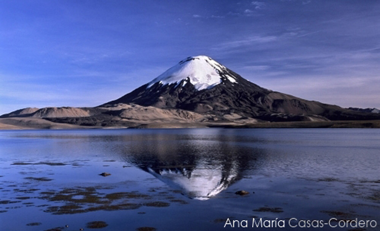 Foto: Ana Maria Casas Cordero Lago Chungara - Altiplano Chileno, Chile