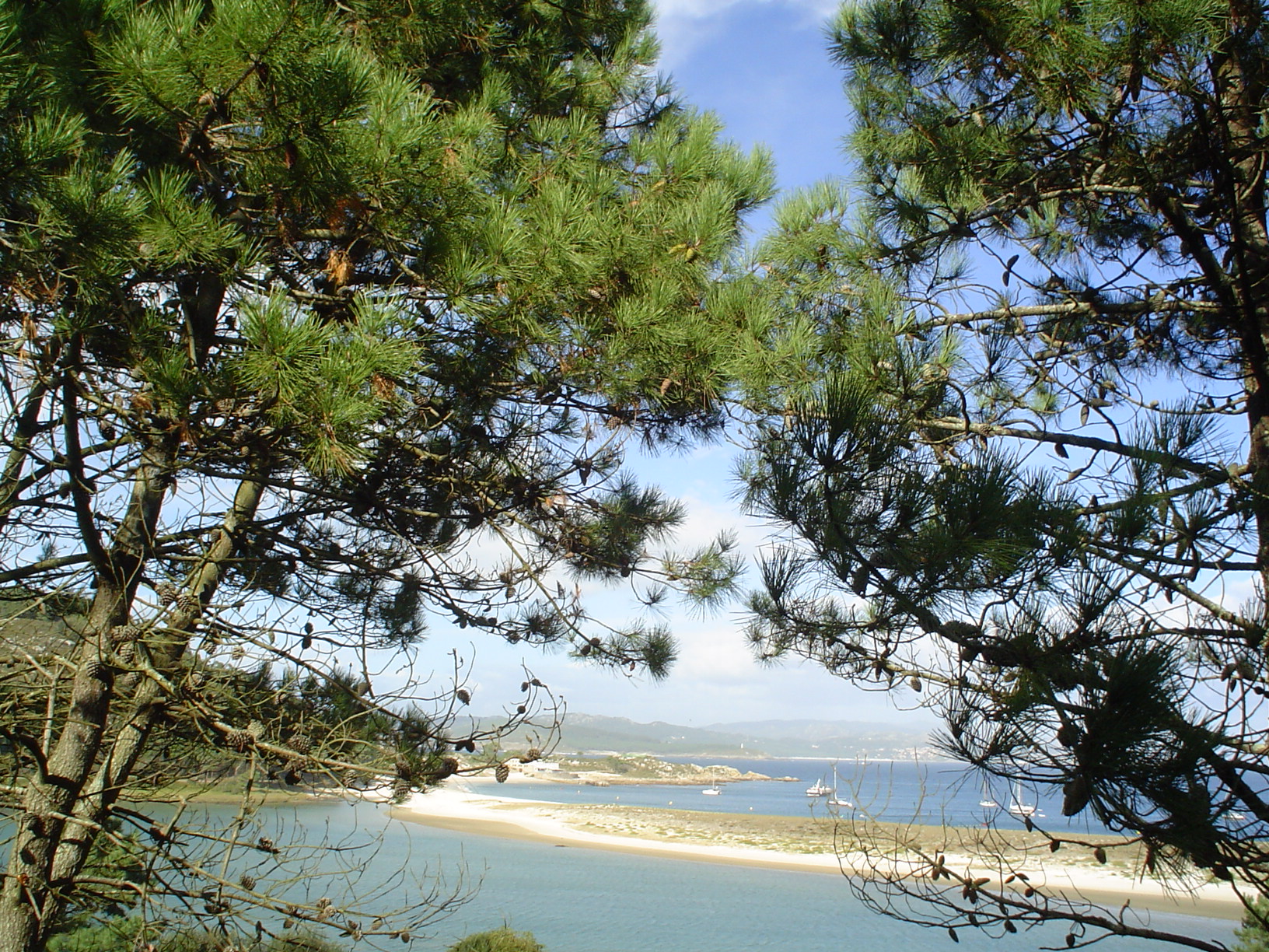 Foto: Islas Cies - Vigo (Pontevedra), España