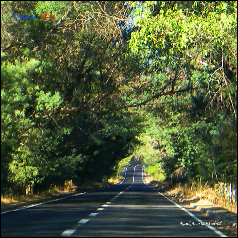 Foto de Marchigüe (Libertador General Bernardo OʼHiggins), Chile