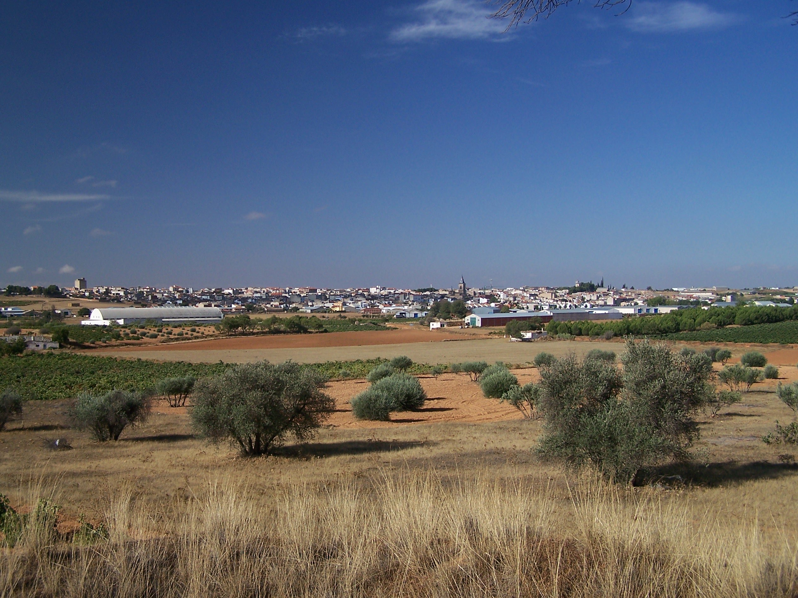 Foto: vista noreste - Tarazona de la Mancha (Albacete), España