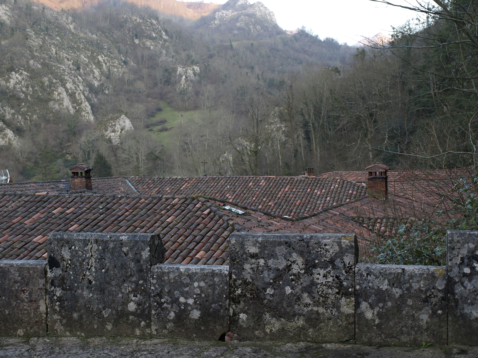 Foto: Tejados - Covadonga (Asturias), España