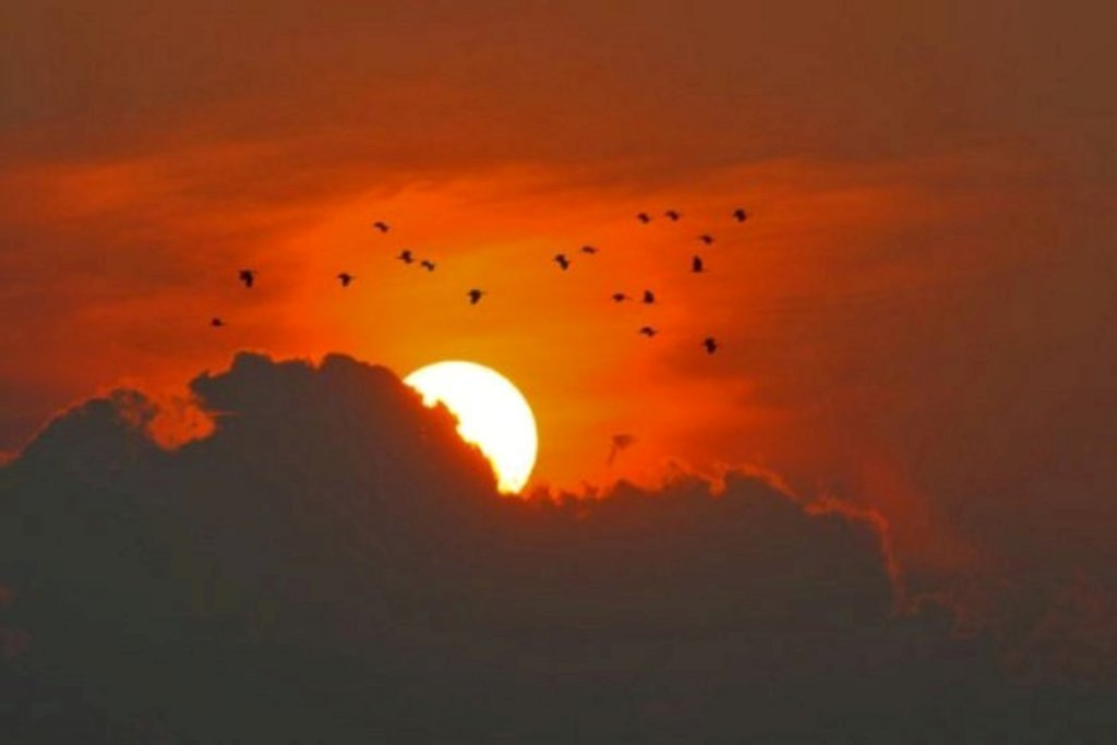 Foto: Atardeceres - Cumana (Sucre), Venezuela
