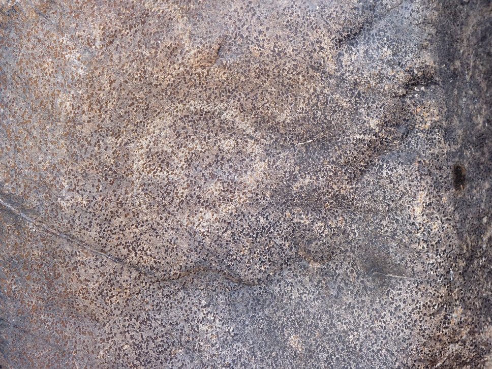 Foto: Petroglifos - Salta, Argentina