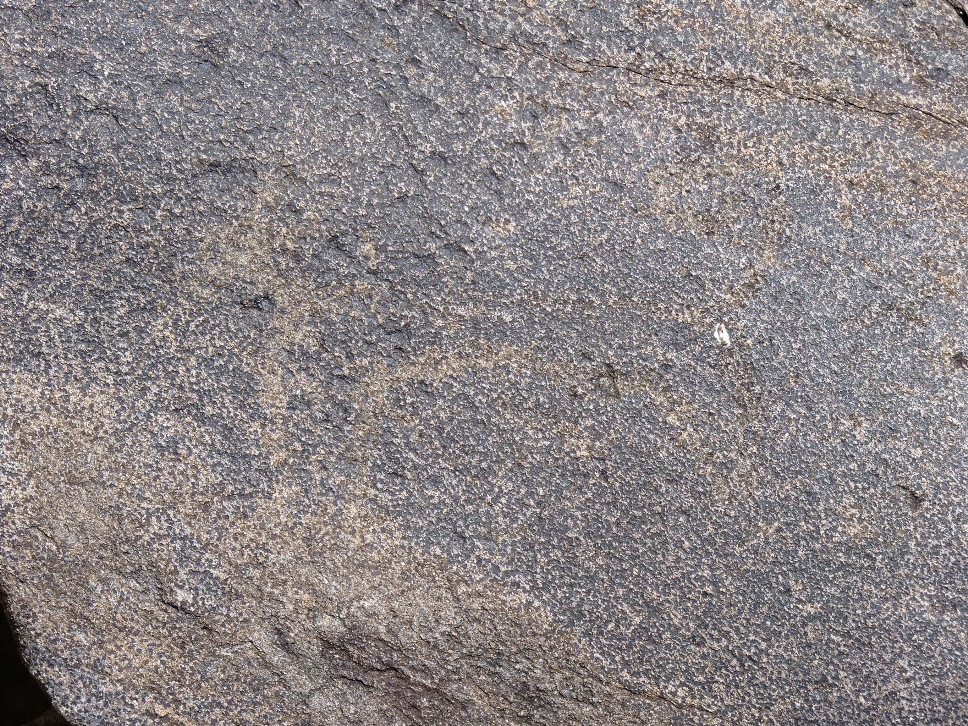 Foto: Petroglifos - Salta, Argentina