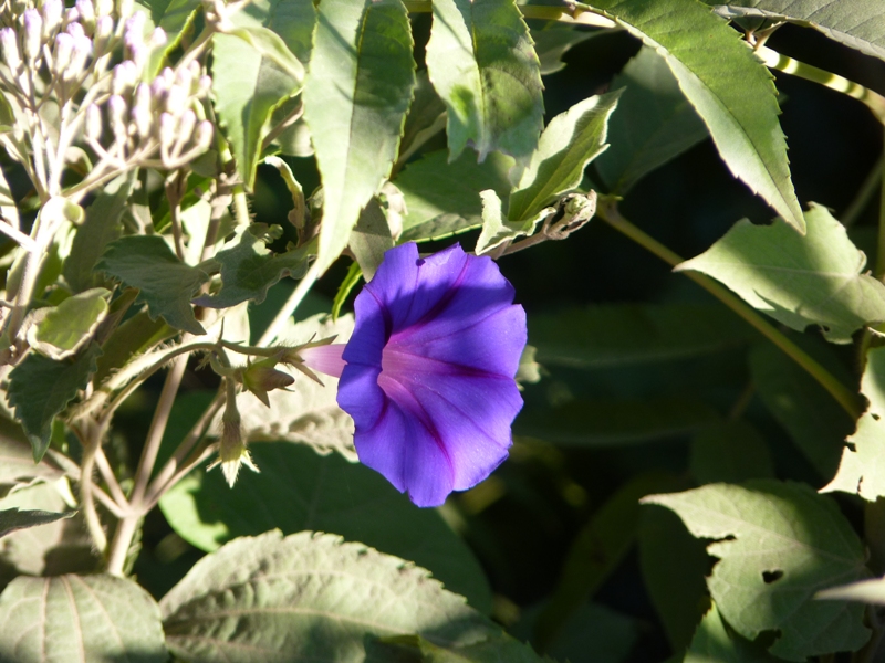 Foto: Camino a Cachi - Cachi (Salta), Argentina