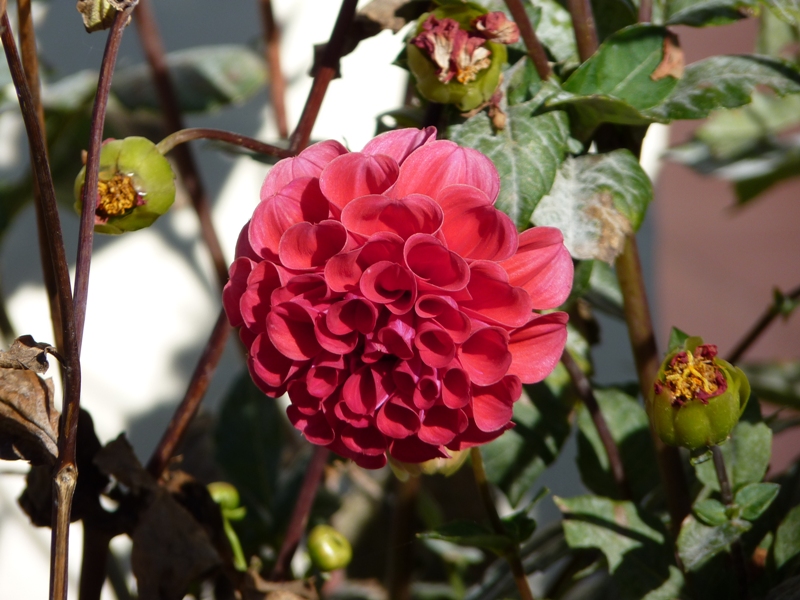 Foto: Camino a Cachi. Parador El Maray. - Cachi (Salta), Argentina