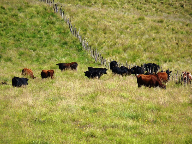 Foto: Piedra del Molino. - Cachi (Salta), Argentina