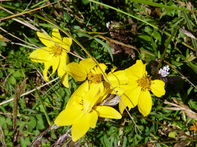 Foto: Piedra del Molino. - Cachi (Salta), Argentina