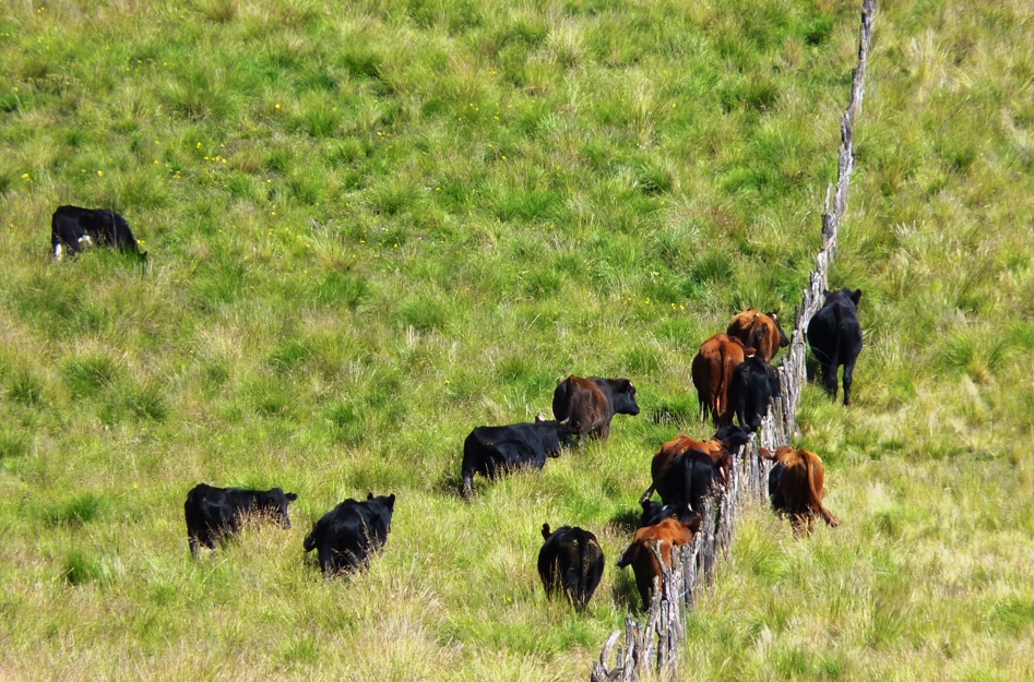 Foto: Piedra del Molino. - Cachi (Salta), Argentina