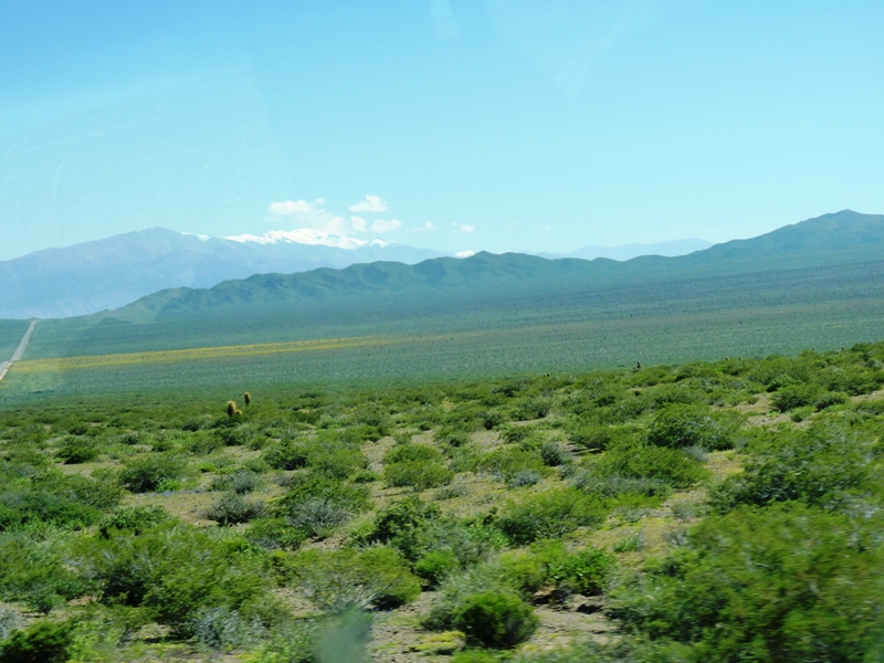 Foto: Parque Nacional Los Cardones. - Cachi (Salta), Argentina