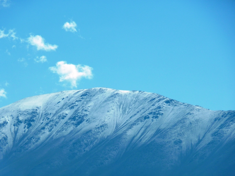 Foto: Parque Nacional Los Cardones. - Cachi (Salta), Argentina
