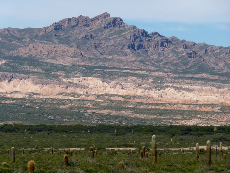 Foto: Parque Nacional Los Cardones. - Cachi (Salta), Argentina