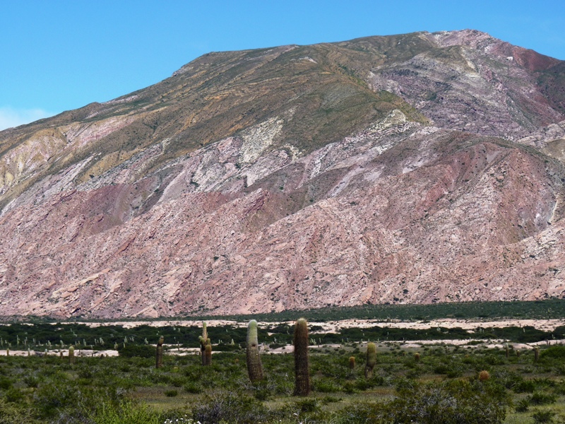 Foto: Parque Nacional Los Cardones. - Cachi (Salta), Argentina