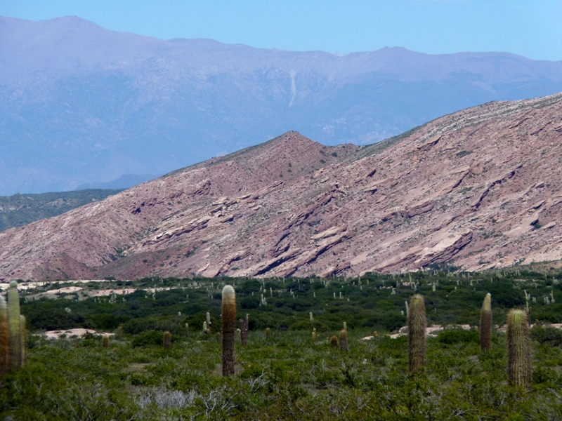 Foto: Parque Nacional Los Cardones. - Cachi (Salta), Argentina