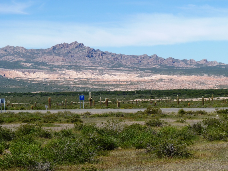 Foto: Parque Nacional Los Cardones. - Cachi (Salta), Argentina