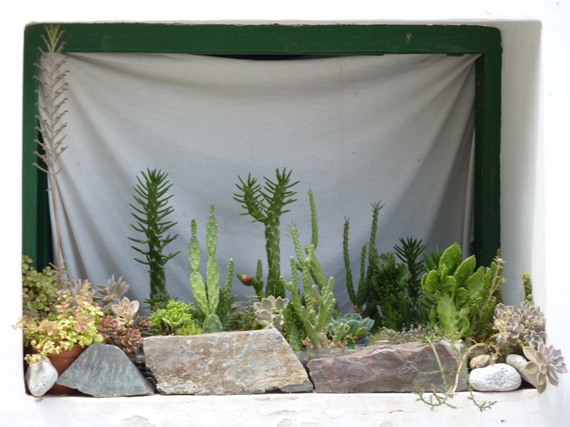 Foto: Ventana - Cachi (Salta), Argentina