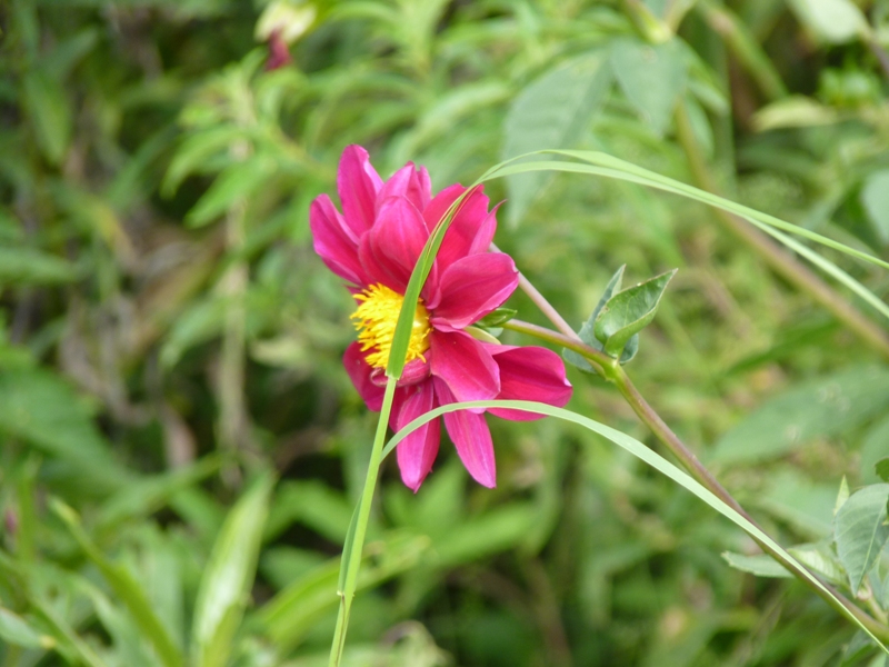 Foto de Cachi (Salta), Argentina